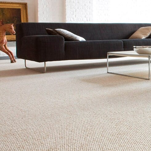 Carpet Product Articles